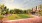 Rendering of open space dog park 