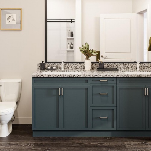 Bathroom options with thoughtful details double sink vanity in well lit bathroom